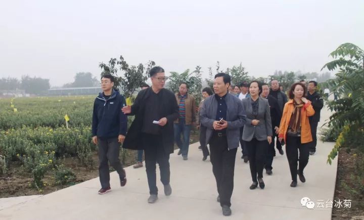 云臺冰菊基地發(fā)生了什么？一批批領導專家團隊前來！